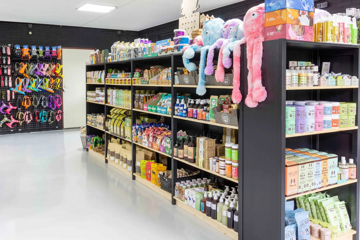 In gesprek met Kim Zwarenstein van The Dog Lounge