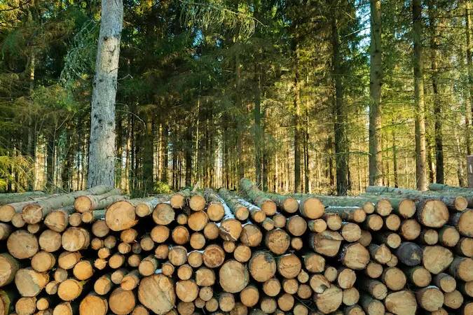 Sustainability​