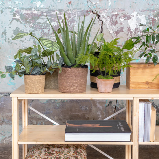 Sideboard | Lundia Original | Clear lacquered solid wood with plants, baskets and decoration